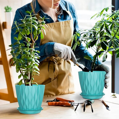 6 Inch Plant Pots with Saucers, 6 Pack Indoor Flower Pots, Planters with Drainage Holes for Orchids, Violets, Succulents, Herbs, and Other Plants, White (Black-Green, 6inch)