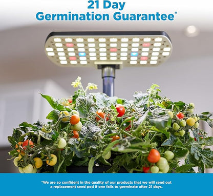 AeroGarden Harvest Lite in Black, Soil-Free Indoor Hydroponic Garden with LED Grow Light for Year-Round Gardening of up to 6 Herbs and Vegetables