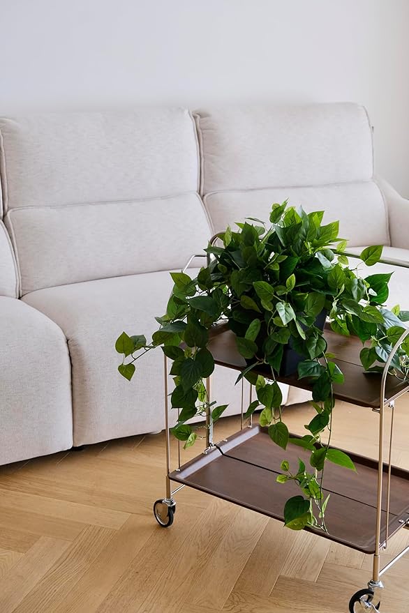 365 Blooming Decor Realistic Artificial Potted Pothos Ivy Plant(Devil's Ivy), Scindapsus Aureus, Premium Fake Plant for Home, Office Decor, 30" H x 22.8" W, //Weather-Resistant//Indoor&Outdoor