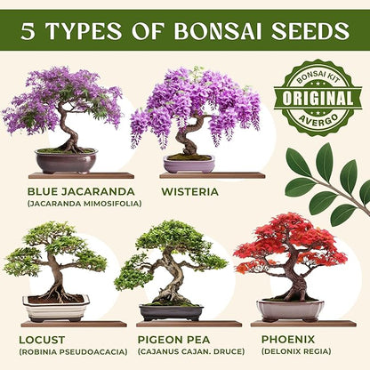 DIY Bonsai Tree Kit for Beginners – 5X Unique Japanese Bonzai Trees, Complete Indoor Bonsai Starter Kit for Growing Bonsai Plants w/Tools & Planters – DIY Christmas Gardening Gifts for Mom