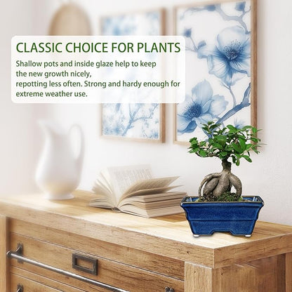 Bonsai Pots Shallow Succulent Planters for Live Bonsai Trees Set of 2, 6.3" Ceramic Pot for Succulents Indoor with Drainage Hole, Outdoor Cactus Plant Bonsai Pot, Ceramic Flower Pot