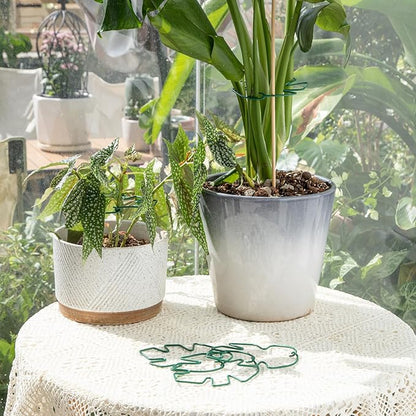 Monstera Plant Stem Support, 5-Pack Durable Indoor Stabilizer for Climbing Plants, 5.5x4.7 Inches Leaf Holder, for Plant Lovers, Enhance Your Indoor Garden