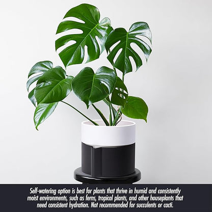 8 Inch Self-Watering Planter Pot with Terracotta Insert, Deep Water Reservoir, and Ceramic-Alike BPA-Free Plastic Planter Pot for Plant, Modern Planter for Houseplants, Black/White, 53-C-T-7