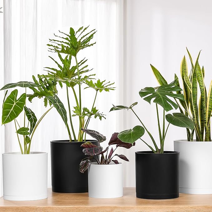 FaithLand 8-Inch Modern Cylinder Planter, Thick-Walled Plastic Plant Pot with Drainage Holes and Detachable Saucer, Matte White, Ideal for Indoor & Outdoor Plants Flowers