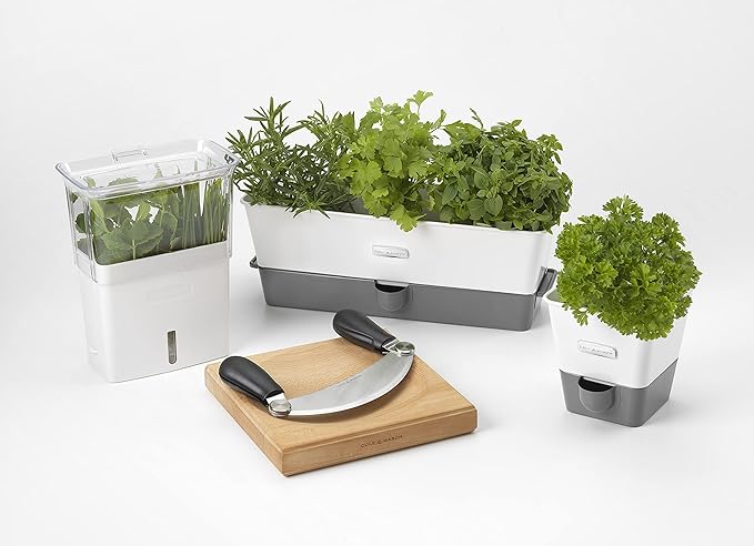Cole & Mason Self-Watering Single Potted Herb Keeper, Indoor Herb Box, 21 cm, White/Grey, Self Watering, Includes 4 x Pads