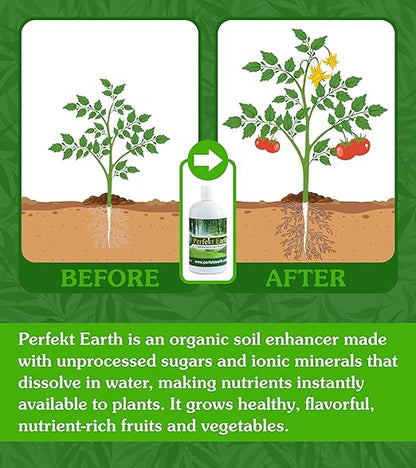 Perfekt Earth Organic Fertilizer - Indoor Plant Food - Liquid Plant Fertilizer - Organic Food for Flowers, Fruits, and Vegetables - Easy to Use 1 Pint Bottle