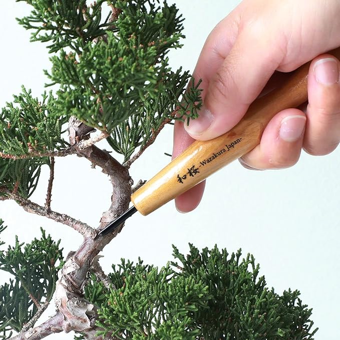 Wazakura Made in Japan Bonsai Chisel Hand V-Parting Triangle Carving Tool 1.5 mm for Jin Shari Making, DIY Woodcarving Knife for Experts and Beginners (V-Parting Triangle Shape 1.5 mm)