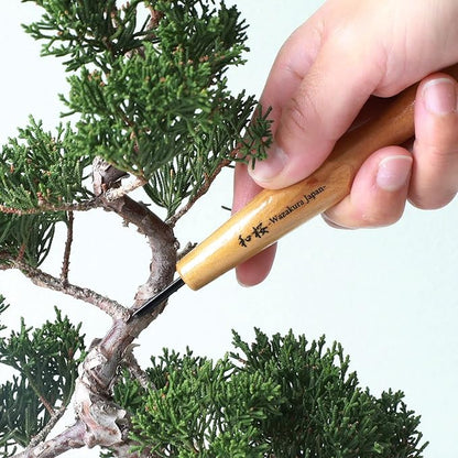 Wazakura Made in Japan Bonsai Chisel Hand V-Parting Triangle Carving Tool 1.5 mm for Jin Shari Making, DIY Woodcarving Knife for Experts and Beginners (V-Parting Triangle Shape 1.5 mm)