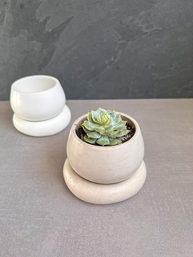 Mini Concrete Planter with Drainage, Cute Plant Pot, Bubble Planter, Decorative Cement Pot, Minimalist Pot with Saucer, Nordic, Chunky Pot (White)