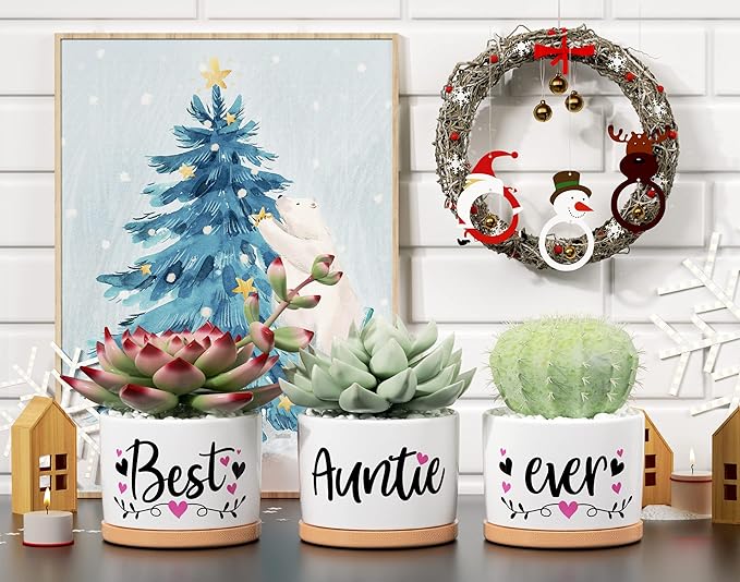 MAYICIVO Christmas Aunt Gifts from Niece Nephew, Best Gifts for Aunt, Best Auntie Ever Gifts Succulent Pots for Plants Indoor Ceramic Planter, Gift Boxed Aunt Birthday Gifts for Aunt Auntie