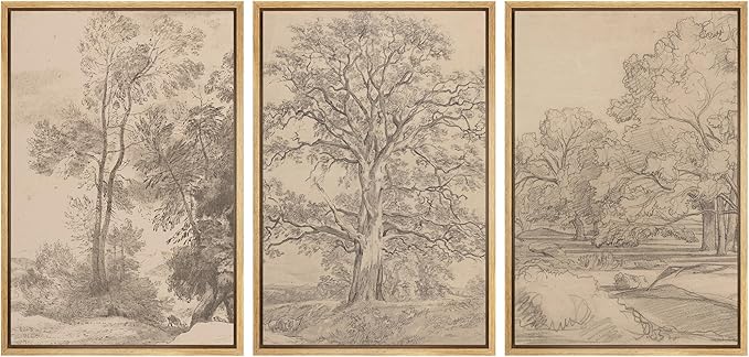 Ashbrook Framed Canvas Print Wall Art Set Retro Vintage Sketchbook Forest Country Landscape Farmhouse Decor Nature Wilderness Illustrations Floral Botanical Retro for Bedroom - 16"x24"x3 NATURAL