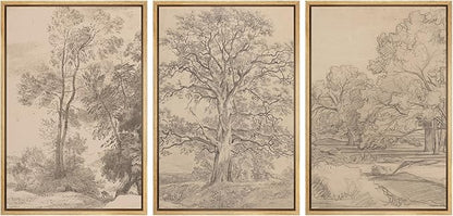 Ashbrook Framed Canvas Print Wall Art Set Retro Vintage Sketchbook Forest Country Landscape Farmhouse Decor Nature Wilderness Illustrations Floral Botanical Retro for Bedroom - 24"x36"x3 NATURAL
