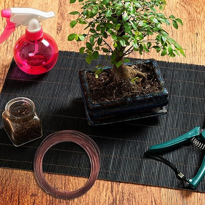 Luxshiny Bonsai Copper Wire Set for Plant Training and Climbing 10 Meters Anodized Aluminum Wire Kit for Garden Bonsai Shaping