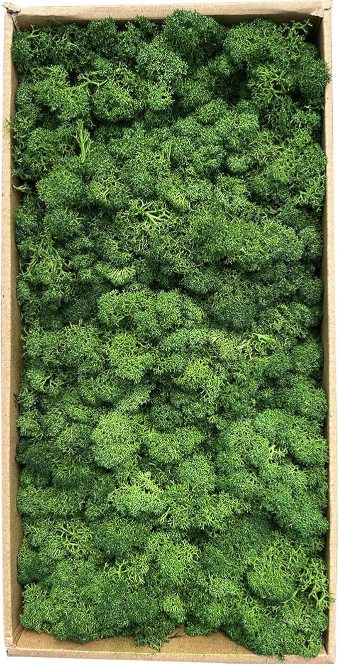 Preserved Moss 1.1lb Artificial Moss for Potted Plants Natural Fresh Green Moss for Crafts Fake Moss Arts Floral Orchid Moss Wall Decor Wedding Centerpieces Garden Terrariums Christmas Decoration