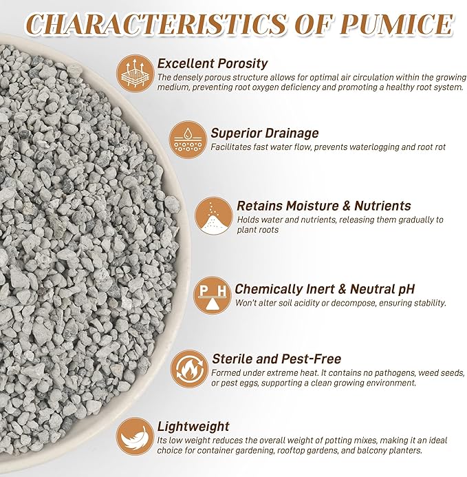 Horticultural Pumice for Plants, 8 Quarts Bag （14.4 IB） Natural Soil Amendment, 1/4" Particle Size for Succulent, Cactus, Bonsai Tree, Orchid Potting Mix