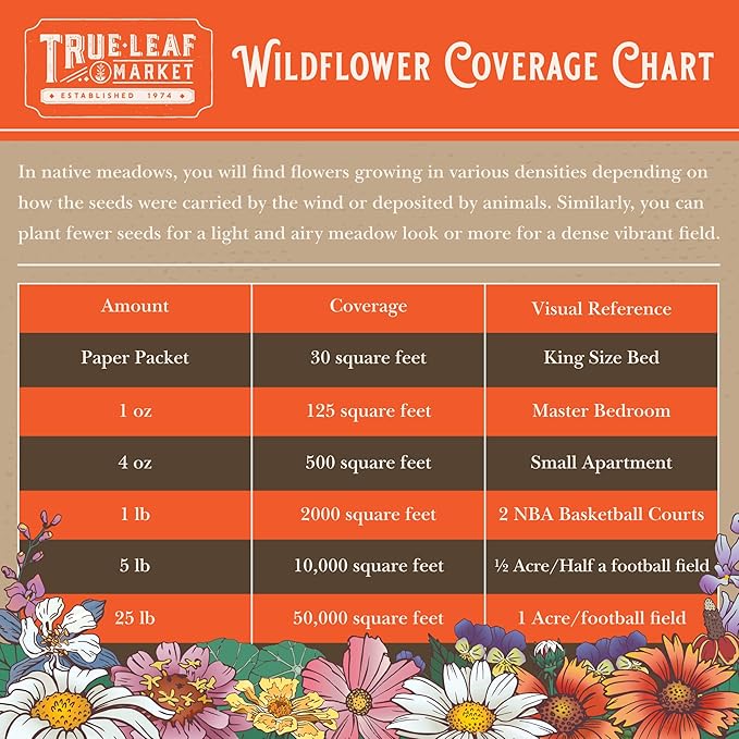 Wildflower Seeds Bulk, Southwestern Wildflower Seed Mix, 1 Lb 640,000+ Seeds, Annual & Perennial Flower, with Southwest Native Wildflowers, Flower Seed Bulk, Desert Wildflowers Mix