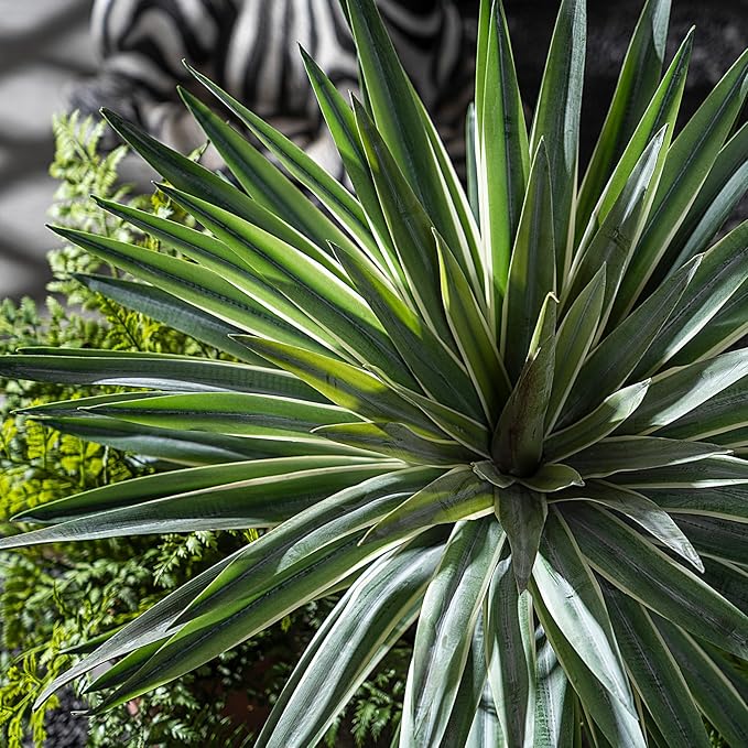 Artificial Agave Plant Fake Agave Planters for Indoor Outdoor Faux Agave Plants Real Touch Realistic Greenery for Home Living Room Office Bathroom Garden Front Porch Patio Decor (16inch-2 Pcs White)