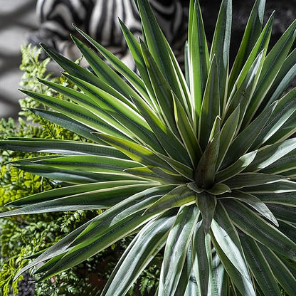 Artificial Agave Plant Fake Agave Planters for Indoor Outdoor Faux Agave Plants Real Touch Realistic Greenery for Home Living Room Office Bathroom Garden Front Porch Patio Decor (16inch-2 Pcs White)