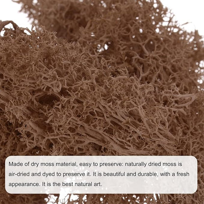 MECCANIXITY 3.5 OZ Moss Fake Craft Moss Artificial Moss Natural Preserved Moss for Craft Arts Floral DIY Project Wall Wedding Garden Patio Table Terrariums Decoration(Coffee)