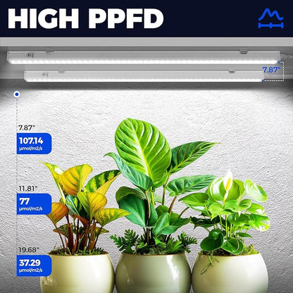 Barrina T5 Grow Lights for Indoor Plants, 2FT 40W (4 X 10W) LED Grow Light with Separate Switch, Linkable Grow Lamp, Indoor Plant Lights for Growth with White Cover, 5000K, 4 Packs