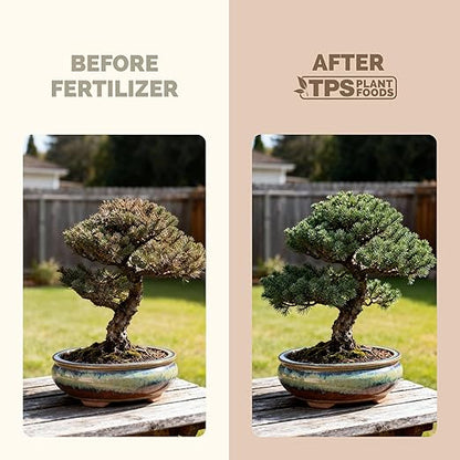 Bonsai Fertilizer for All Bonsai Trees, Great for Root Soaks, Liquid Plant Food, 32 oz (1 Quart)