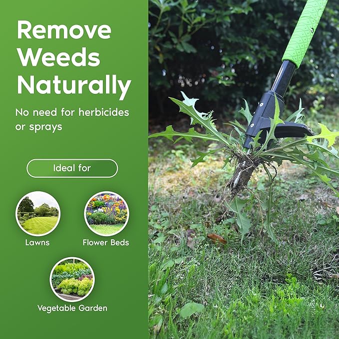 Garden Guru Stand Up Weeder Weed Puller Tool – Long Handle up to 45-Inch – Heavy Duty 3 Claw Weeder with Foot Pedal – No Bending or Kneeling – Great for Dandelions, Thistle, Grass