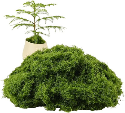 Caiyjhao Simulated Green Moss Crafts, Flowerpot Decorative Fillers, Green Decorations in The Center of The Dining Table, Indoor Flowerpots, DIY ，Weddings, Easter, Party Decorations (5.29 Oz)