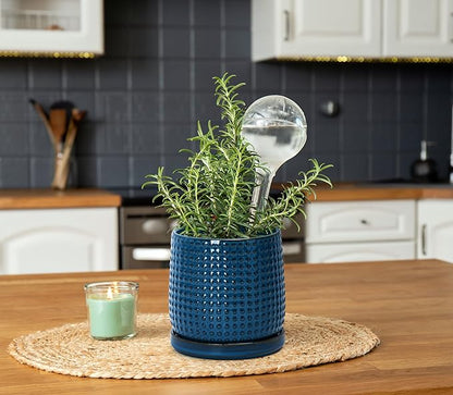 D'vine Dev Set of 2 Ceramic Plants Pots, 4 Inch Beaded Stoneware Flower Pot for Plants with Drainage Hole and Saucer, Midnight Blue, 27-E-Z-3