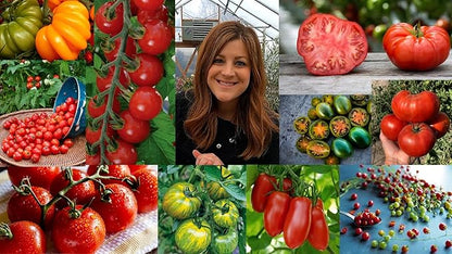 Espoma Organic 8 Ounce Concentrated Tomato! Plant Food - Plant Fertilizer for All Types of Tomatoes and Other Vegetables. for Organic Gardening. Pack of 1.