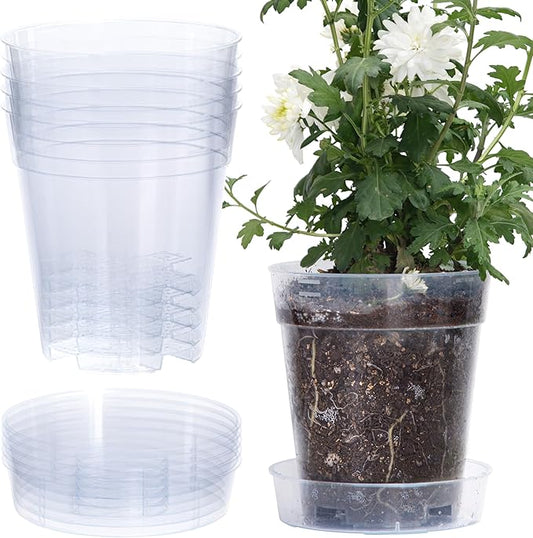 1 Gallon 6 Inch Clear Plastic Plant Pot with Drainage Holes, Interlocking & Detachable Tray - Deep Saucer - Durable BPA-Free Plastic, Transparent Design, Raised Base for Airflow, Set of 6, 92-X-A-6