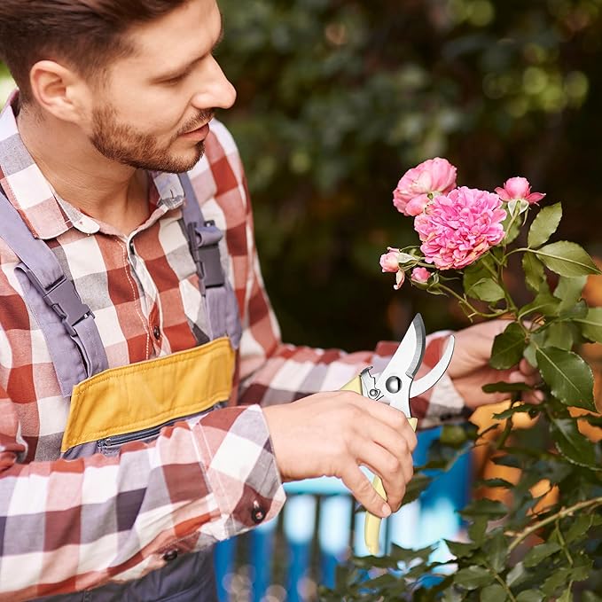 50 Pcs Garden Shears Garden Scissors Trimming Plant Clippers Flower Cutters for Stems Floral Snips Floral Tools Pruners for Flower for Yard Orchard Cutting Bushes Fruit Picking Tree Bonsai