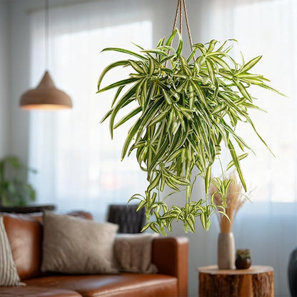 2 Pcs Artificial Spider Hanging Plant Artificial Bracketplant Chlorophytum Fake Greenery for Outdoor Porch Patio Window Shelf Office Garden Home Decor (Yellow)