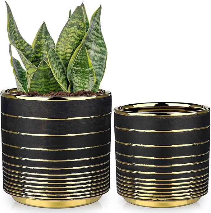 Black Ceramic Plant Pots, 5.5 + 6.2 Inch Gold Striped Panters for Plants, Modern Flower Pots for Home and Office, Indoor Planters with Drainage for Succulent Cactus Home Decoration Gift Indoor Outdoor