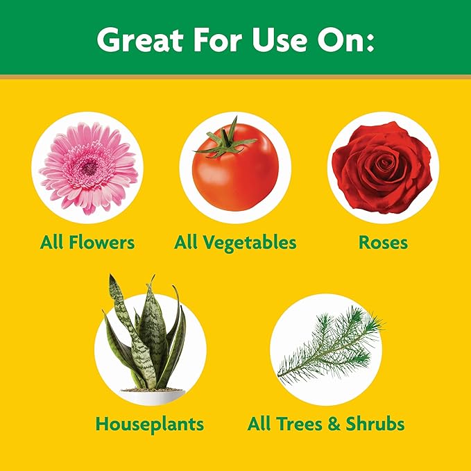 Miracle-Gro Water Soluble All Purpose Plant Food, For All Indoor or Outdoor Plants, Roses, Flowers, Vegetables, Houseplants, Trees, and Shrubs, 1.5 lbs