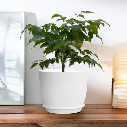 Plant Pots 12 Inch Set of 2, Outdoor Indoor Flower Pots Plastic Planters with Holes and Saucers, Modern House Office Garden Decorative,Simplicity White Color