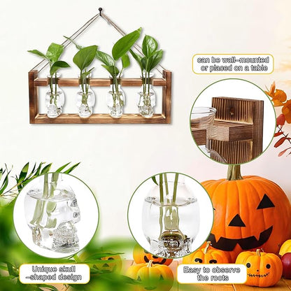 Plant Propagation Stations Halloween Skull Plant Terrarium Kit Glass Vases Gift for Father Air Planter Home Office Decor