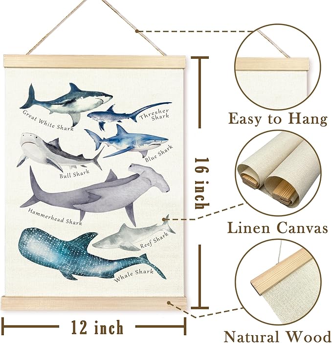 TAEDIN Watercolor Shark Ocean Animal Chart Poster Hanger Frame, Educational Shark Decor Wood Wooden Canvas Artwork Print, Sea Life Wall Painting for Home Bedroom Classroom Library Dorm Decor 12X16