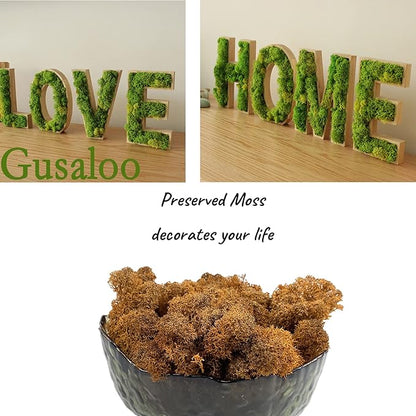 Moss Preserved Artificial Moss Natural Fresh Green Reindeer Moss for Craft Arts Floral Project Wall Decor Table Decor Wedding Centerpieces Garden Terrariums Decoration-Brown 3.5OZ