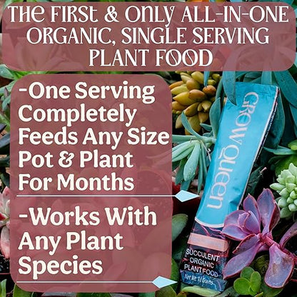 All-In-One Organic Succulent Fertilizer, Cactus Fertilizer, Succulent Plant Food, Bonsai & Cactus Food, 1lb bag = 25 Single Servings, Fast & Slow Release feeds up to 100 plants for 8 months