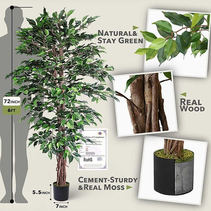 Aveyas 6ft Artificial Ficus Tree for Home Decor, 6 Feet Faux Plant Fake Silk Trees with Pot for Indoor Outdoor House Living Room Office Garden (6 ft Tall)