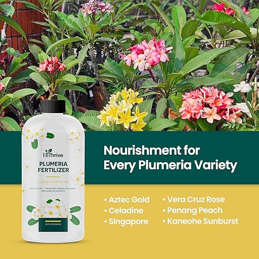 32oz Plumeria Fertilizer - Makes 32 Gallons of Liquid Plant Food for Plumeria Plants Live, Tropical Plant Fertilizer for Vibrant Flowers, Glossy Leaves, and Strong Roots - Nutrient-Rich Flower Food