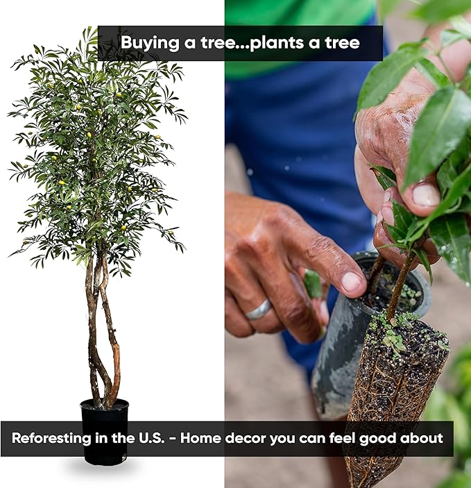 Cypress & Alabaster Handmade 6.5ft Mediterranean Olive Artificial Tree with Ethically Sourced Real Wood Trunks, Hypoallergenic, 6.5-Foot, Green