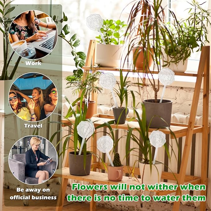 6 Pack Plant Watering Globes, Self Watering Bulbs Drip Irrigation Device for Indoor and Outdoor Plant, Vacation Plant Watering Devices (Rose Shape)