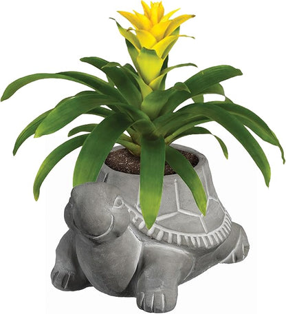 Classic Home and Garden Cement Buddies Animal Planter - Cute Desk Decoration - UV Coated Animal Vase w/Removable Drain Plug -Succulent Planter for Indoor/Outdoor Use (Turtle Planter, Natural, Small)