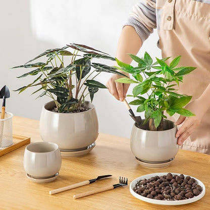 vancasso 3-Pack Ceramic Plant Pots, 3.7/4.8/6.2 Inch Indoor Planters with Saucers & Drainage Hole Planter pots for Indoor Plants and Flower, Gray