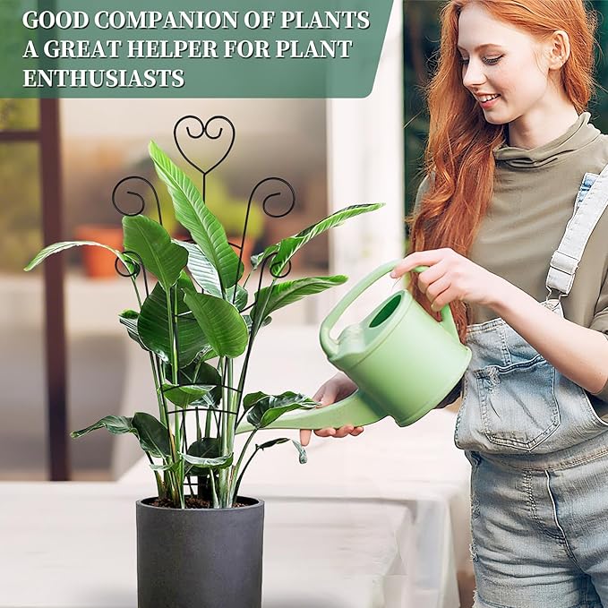 30Inch Plant Trellis for Climbing Plants Outdoor,Indoor Metal Garden Trellis for Potted Plants, Houseplant Plant Support Indoor Outdoor for Ivy Pothos Monstera Hoya Flower Vine Black Heart 2 Pack(2)