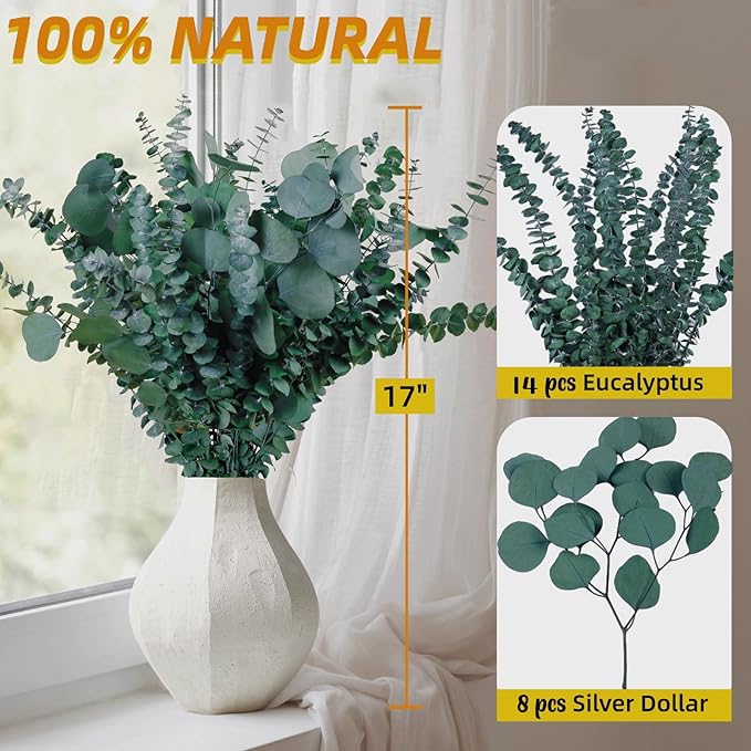 22 Pcs Large Dried Eucalyptus & Silver Dollar Leaves Bundle - Natural Real Fresh Eucalyptus, 17" Preserved Eucalyptus Stems for Shower Hanging, Bathroom Decor, Garland, Greenery Plant (22)