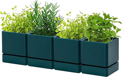D'vine Dev 4 Inch Herb Planter Pot, Plastic Planter with Drainage Holes and Saucer, Modern Decorative Gardening Pot for Indoor Plants, Flowers, Herbs, Succulents, Green, Set of 4, 76-Y-C-4