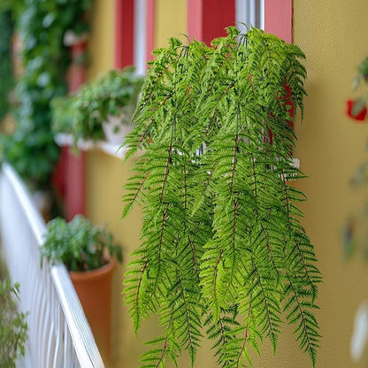 Faux Haning 2PCS 49IN Fake Fern Wall UV Resistant Artificial Fake Ivy Faux Greenery Plants for Patio Porch Plastic Plants for Indoor Outdoor