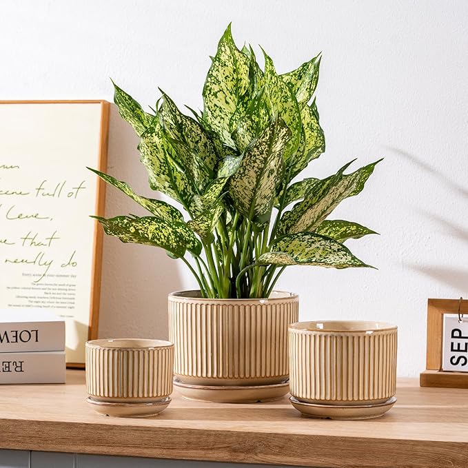 Beige Ceramic Planter Set of 3, Indoor Plant Pots with Drainage Hole, Saucer & Mesh Pads, Ceramic Striped Decorative Plant Pots for Indoor Plants, Garden Pots, Outdoor and Indoors Planters (Beige)